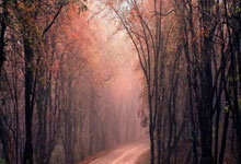 DB彩票试玩-波兰队轻取英格兰队，马龙关键制胜