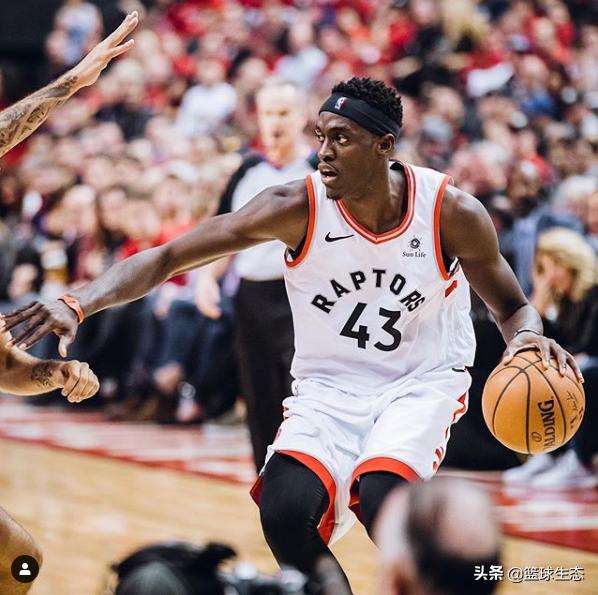 猛龙队连胜不断，实力不可小觑