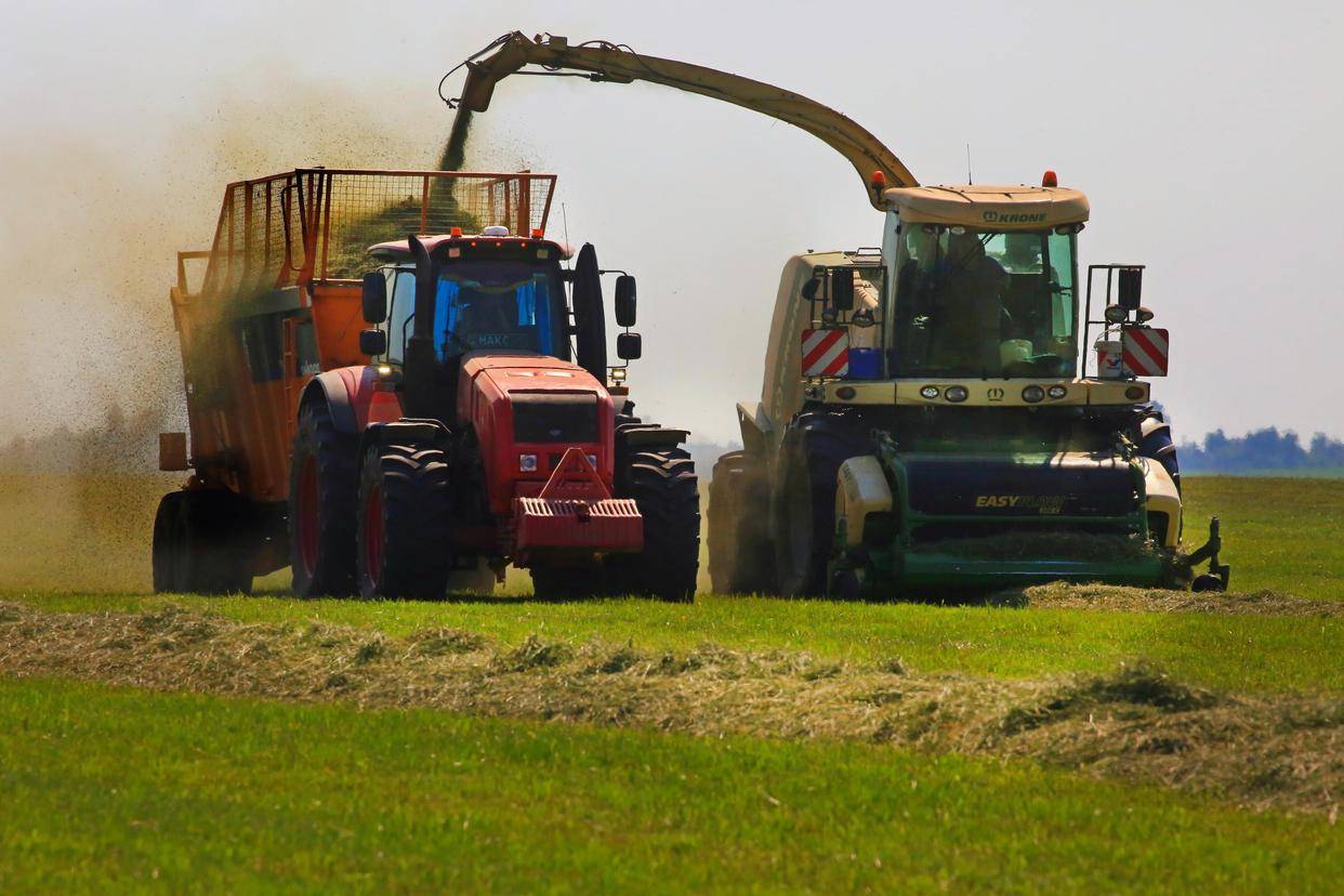 白俄罗斯联赛：明斯王队战胜对手，实现四连胜