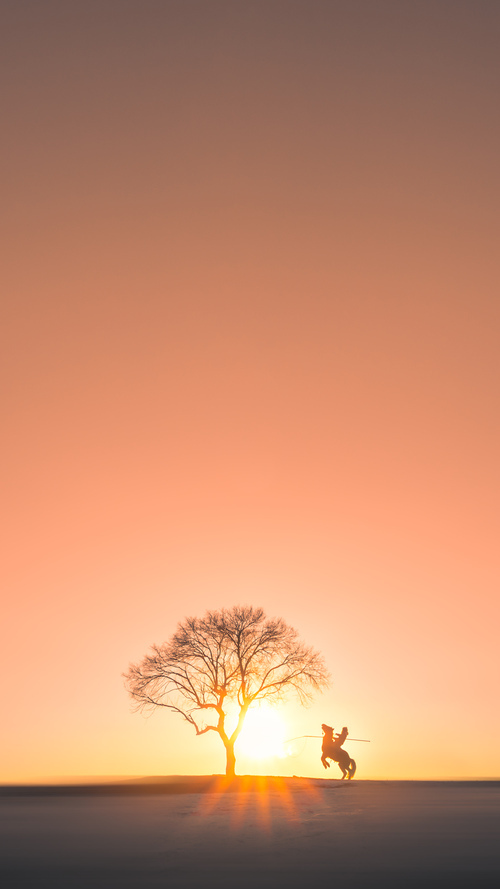 湖人火箭对决中的第三者，塔图姆如何成为攻防转换的隐形核心？